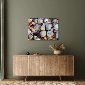 tablou cu scoici (70x50 cm)