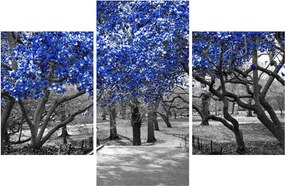 Tablou - Copaci albaștri Central Park, New York (90x60 cm)