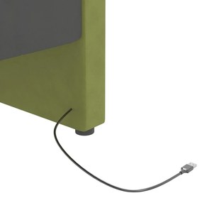 Pat de zi cu saltea, verde deschis, 90x200 cm, catifea, USB Lysegronn