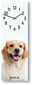 Ceas de perete pentru copii 20 x 60 cm cu golden retriever