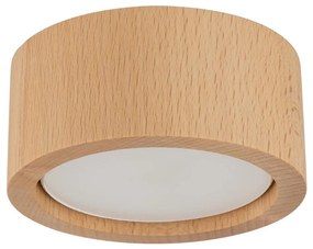 Spot EVE 1xGX53/11W/230V fag