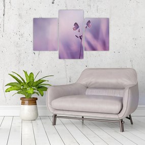 Tablou - Fluturi mov (90x60 cm)