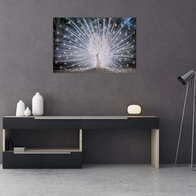 Tablou - Păun alb (90x60 cm)