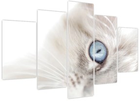 Tablou - Pisica cu ochi albaștri (150x105 cm)