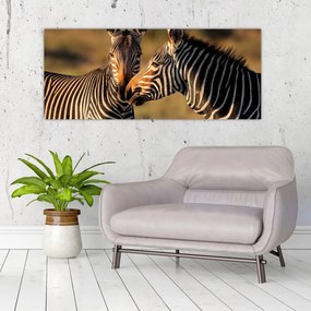 Tablou - Două zebre (120x50 cm)