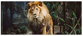 Tablou cu leu în natură (120x50 cm)