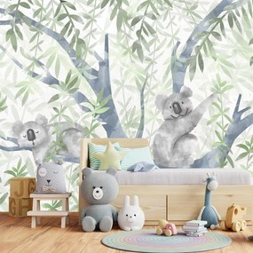 Fototapet - Koala (147x102 cm)