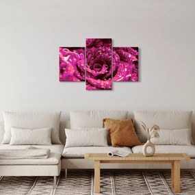 Tabloul cu floarea trandafirului roz (90x60 cm)