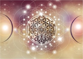 Tablou - Mandala cu elemente (70x50 cm)
