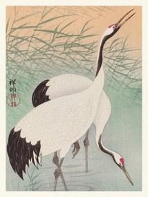 Artă imprimată Two Cranes (Japandi Vintge) - Ohara Koson, (30 x 40 cm)