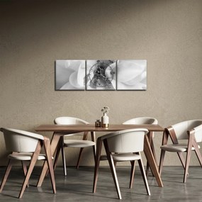 Tablou - Floare,alb-negru (cu ceas) (90x30 cm)