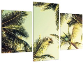 Tablou - Palmieri de cocos (90x60 cm)