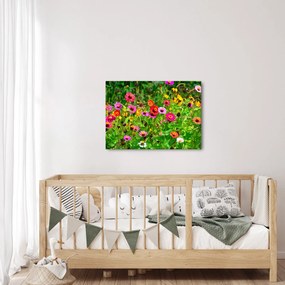 Tablou cu flori de luncă (70x50 cm)