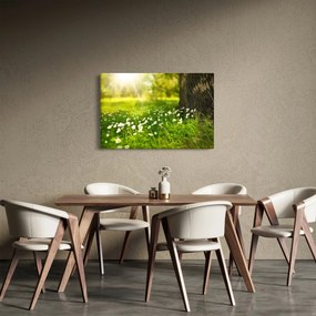 Tablou cu poiana și flori (90x60 cm)