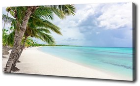 Pictură pe pânză Plaja tropicala