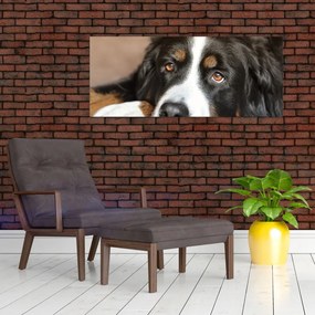 Tablou cu câine (120x50 cm)