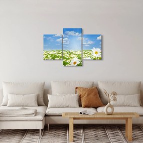 Tablou cu luncă înflorită cu margarete (90x60 cm)