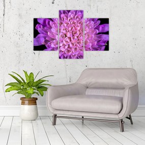 Tablou detailat cu floare (90x60 cm)