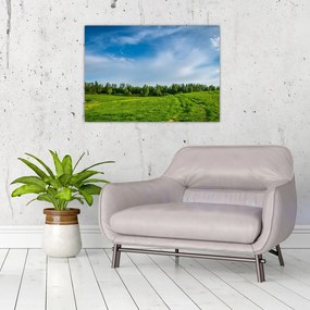 Tablou pe sticlă cu luncă (70x50 cm)