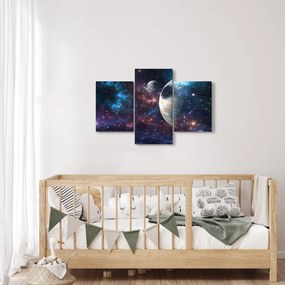 Tablou cu cosmos (90x60 cm)