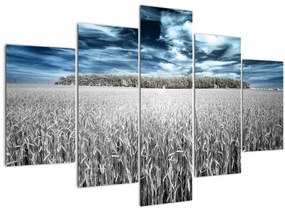 Tablou cu câmp (150x105 cm)