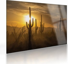Tablou pe sticlă - Cactuși Saguaro (70x50 cm)