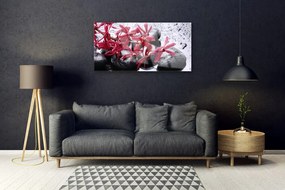 Tablouri acrilice Pietrele de flori Arta Negru Roșu