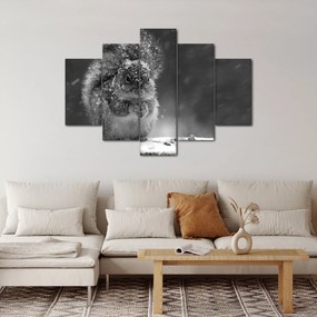 Tablou - Veveriță în timpul iernii (150x105 cm)
