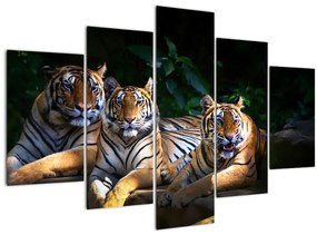 Tablou - Tigrii frați (150x105 cm)