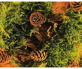 Li-Go 23654 - Decorațiune de masă LED reglabilă LED/12W/230V 20x22 cm mușchi