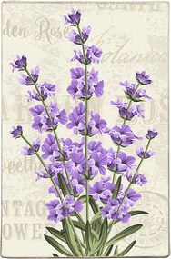 Covor, Lavender Djt, 80x120 cm, Multicolor