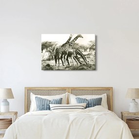 Tablou - Girafe, de epocă (90x60 cm)