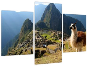 Tablou - Lama și Machu Picchu (90x60 cm)