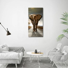 Tablou pe pânză canvas Elefant de mers pe jos