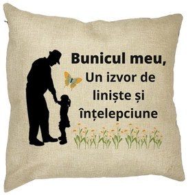 Perna Decorativa pentru Bunicul 5, 40x40 cm, Husa Detasabila, Burduf