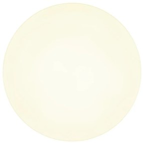 Plafoniera LED design modern simplu MATTHEW D-50cm alb/opal