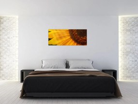 Tablou - Floarea-soarelui (120x50 cm)