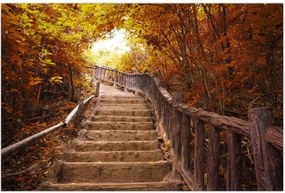 Tablou - Scări în natură în toamnă (90x60 cm)