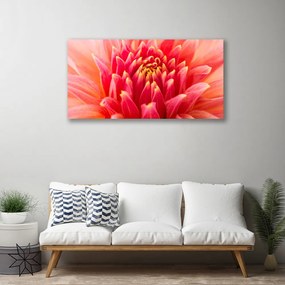 Tablou pe panza canvas Florale flori Orange