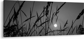 Tablou - Pajiște cu apus de soare (120x50 cm)
