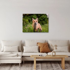 Tablou cu vulpe (70x50 cm)