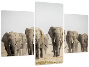 Tablou - Turmă de elefanți (90x60 cm)
