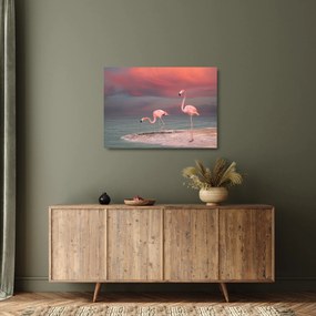 Tablou pe sticlă - Flamingo (70x50 cm)