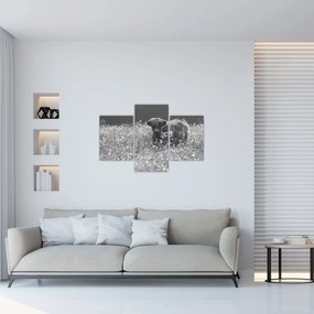 Tablou - Vacă scoțiană 5,alb-negru (90x60 cm)