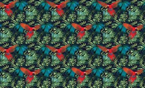 Fototapet - Papagal (254x184 cm)