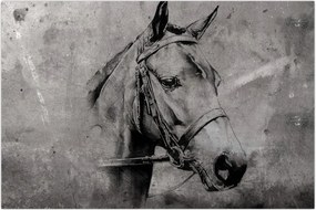 Tablou - Portret de cal (90x60 cm)