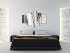 Tablou - Lup (150x105 cm)