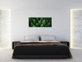 Tablou - Pădure (120x50 cm)