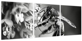 Tablou - Detaliu de albină (cu ceas) (90x30 cm)