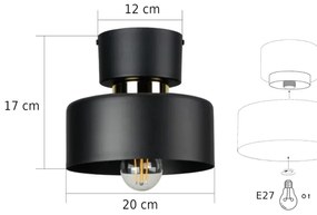 Plafonieră IGNIA 1xE27/60W/230V negru/auriu